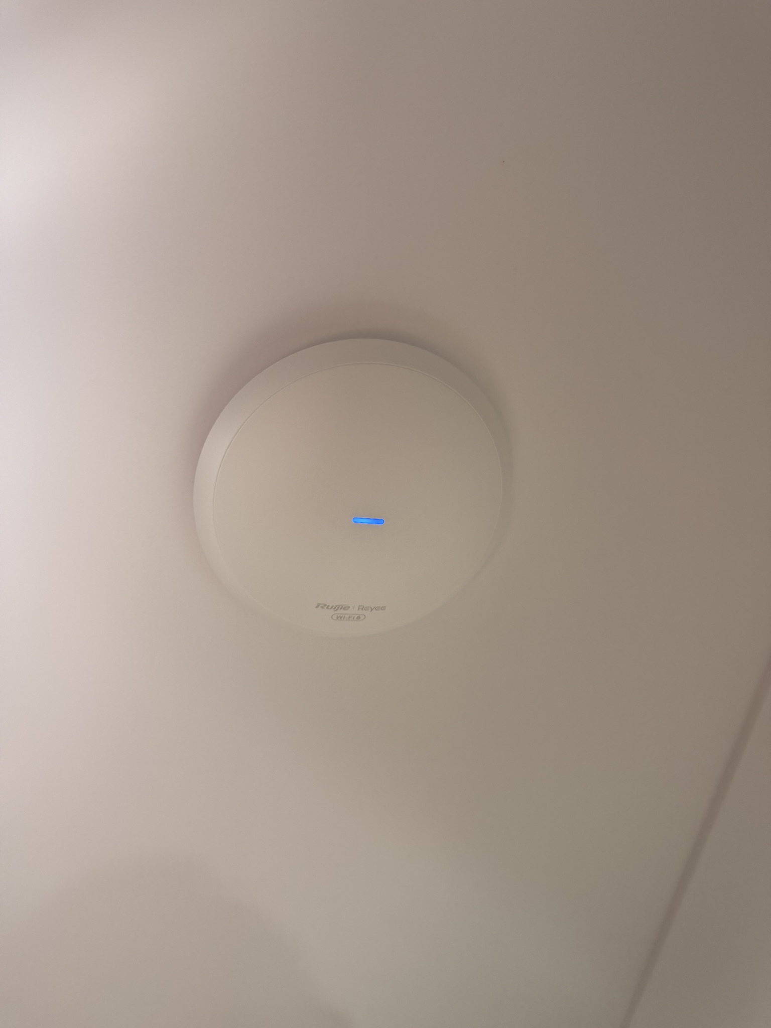 Structured data cabling and tidy network setup in Perth