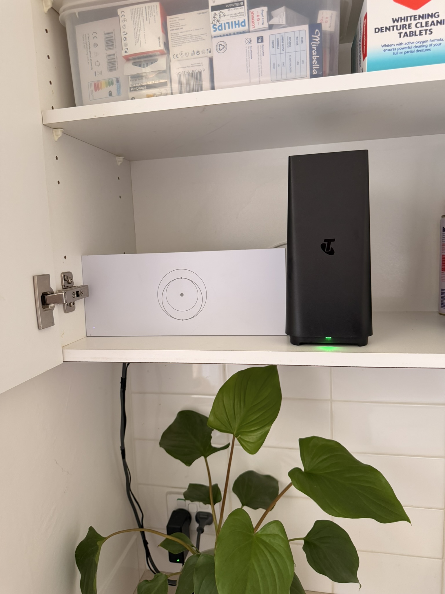 Starlink dish installation on a Perth home
